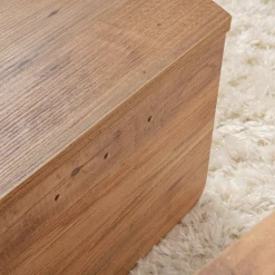ASYA Lot de 2 tables basses en bois