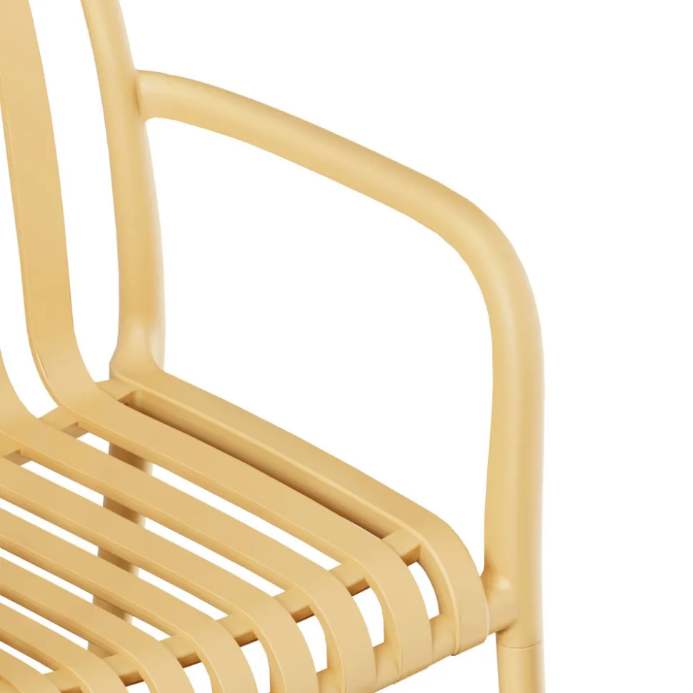 BRANO Lot de 2 fauteuils de jardin en résine
