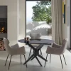 DRAVON Table à manger 4 personnes en verre trempé et métal