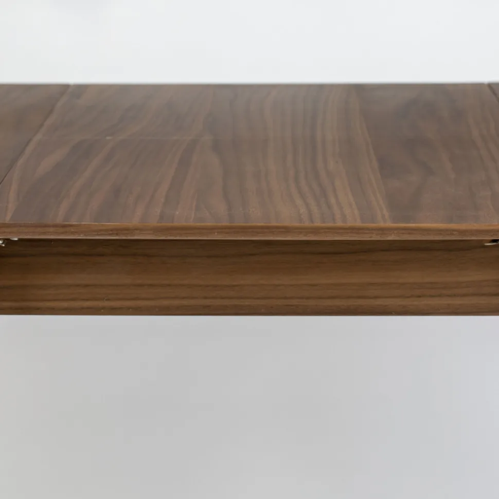 GLIMPS Table à manger extensible 4 à 6 personnes 120-162x80cm en bois