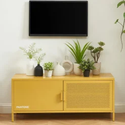 NINO Meuble TV 2 portes en métal PANTONE L120cm