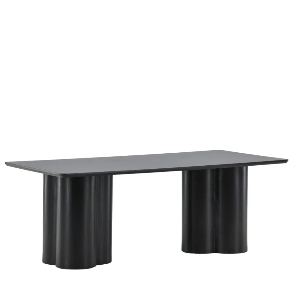 OLIVIA Table basse en bois 120x60cm
