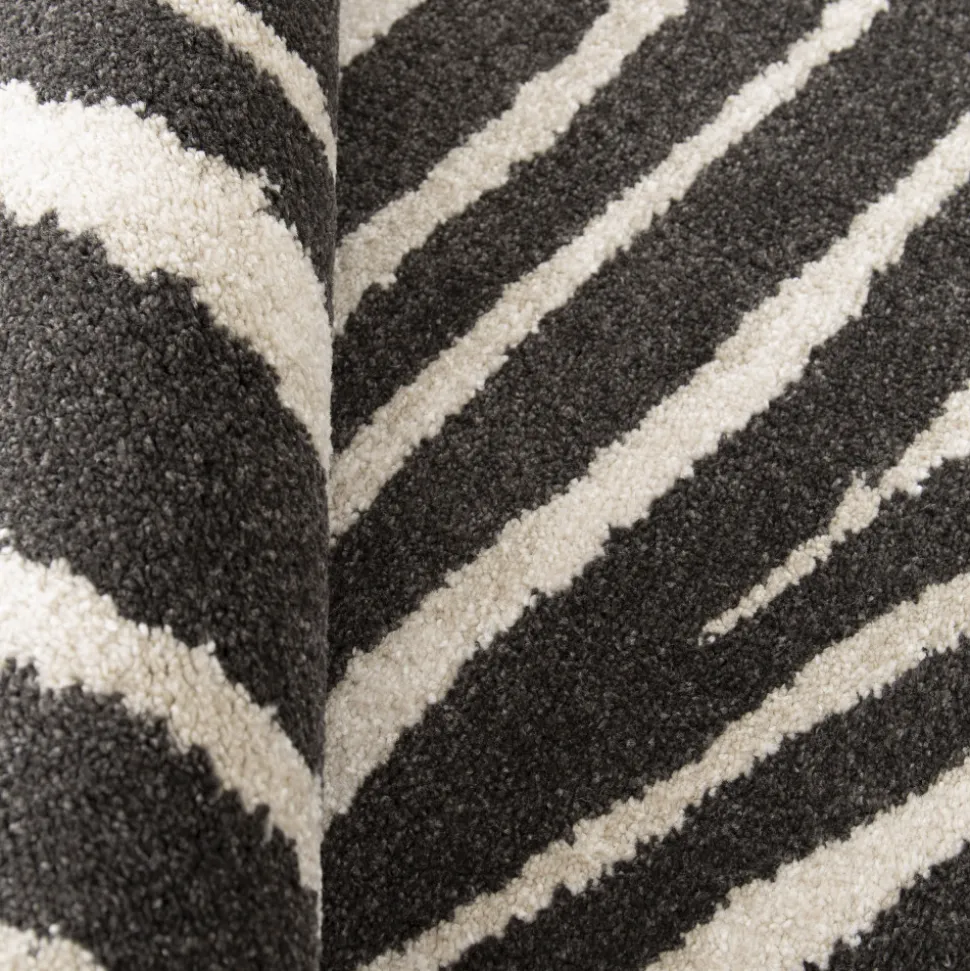 ZEBRA Tapis graphique à motif zébré